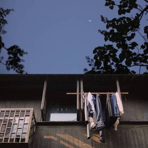 黄色超污视频免费观看在线a播放
