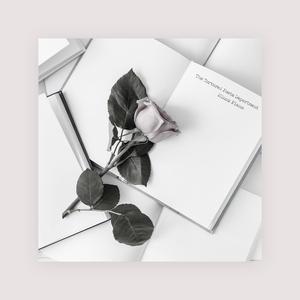 黄色超污视频免费观看在线a播放
