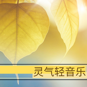 黄色超污视频免费观看在线a播放
